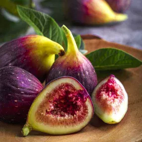 Mediterranean Fig
